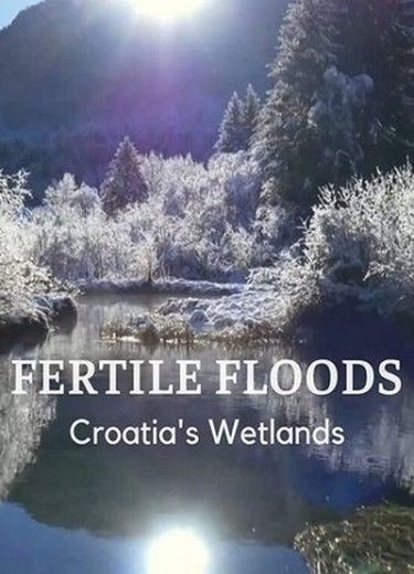 Fertile Floods Croatia’s Wetlands 2018