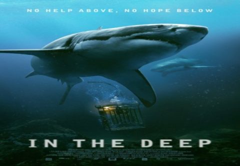 In The Deep 2016