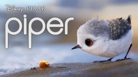 مشاهدة فيلم Piper 2016 مترجم HD
