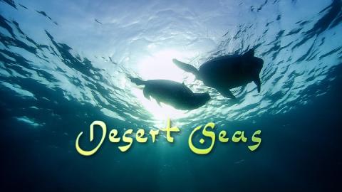 مشاهدة فيلم Desert Seas 2011 مترجم HD