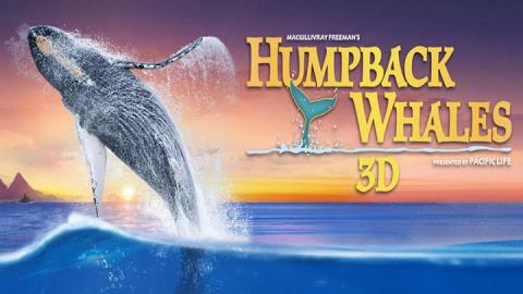 مشاهدة فيلم Humpback Whales 2015 مترجم HD