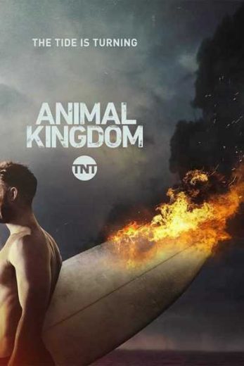Animal Kingdom S02