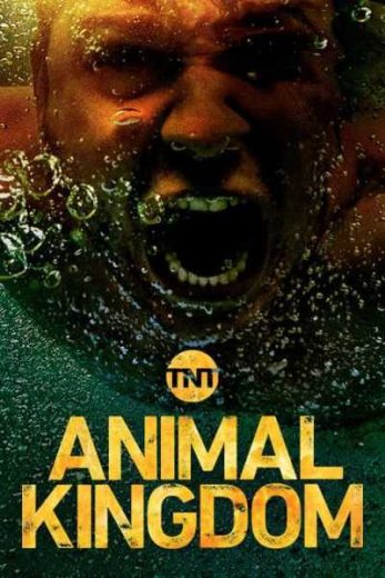 Animal Kingdom S03