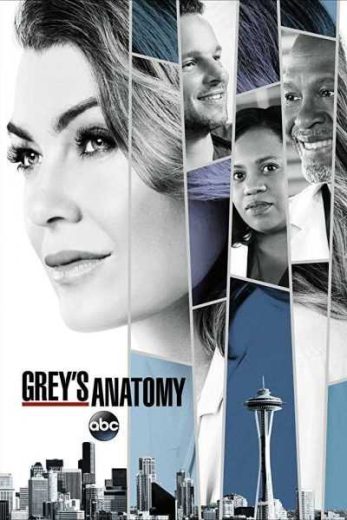 Grey’s Anatomy S14