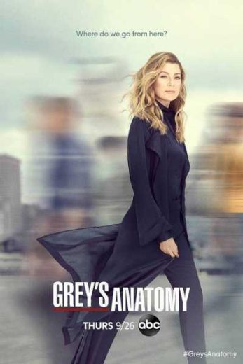 Grey’s Anatomy S16