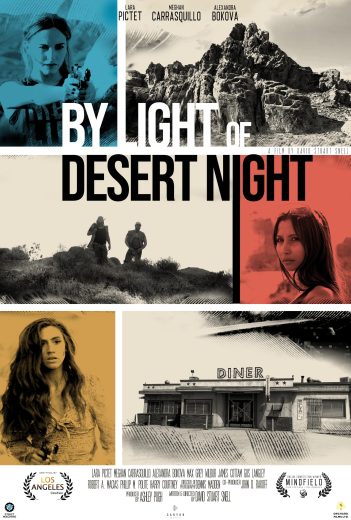 By Light Of Desert Night 2019