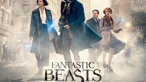 مشاهدة فيلم Fantastic Beasts And Where To Find Them 2016 مترجم HD