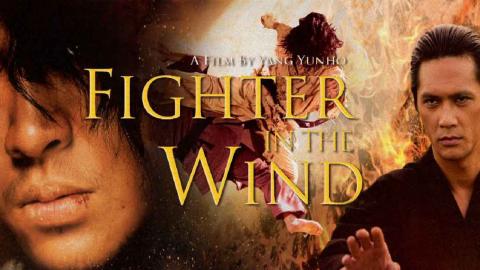Fighter in the Wind 2004